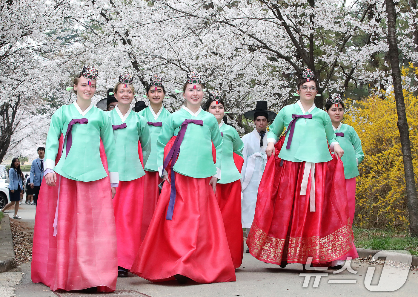 (경산=뉴스1) 공정식 기자 = 1일 오후 영남대 경산캠퍼스를 찾은 미국 고교생들이 한복을 곱게 차려입고 민속촌 벚꽃길을 걷고 있다. 학생들은 열흘간 한국에 머물며 전통 성년식인 …