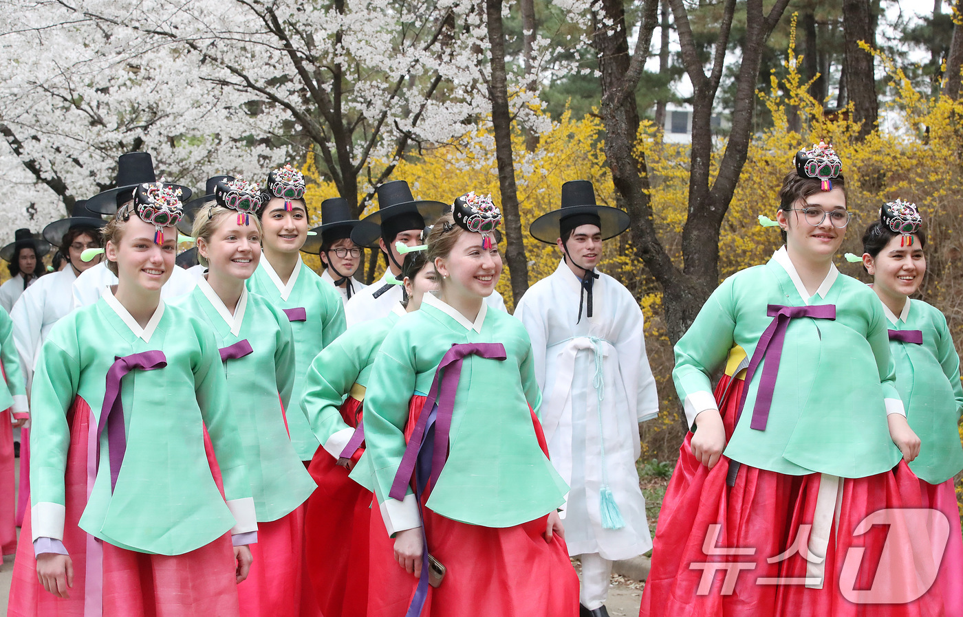 (경산=뉴스1) 공정식 기자 = 1일 오후 영남대 경산캠퍼스를 찾은 미국 고교생들이 한복을 곱게 차려입고 민속촌 벚꽃길을 걷고 있다. 학생들은 열흘간 한국에 머물며 전통 성년식인 …