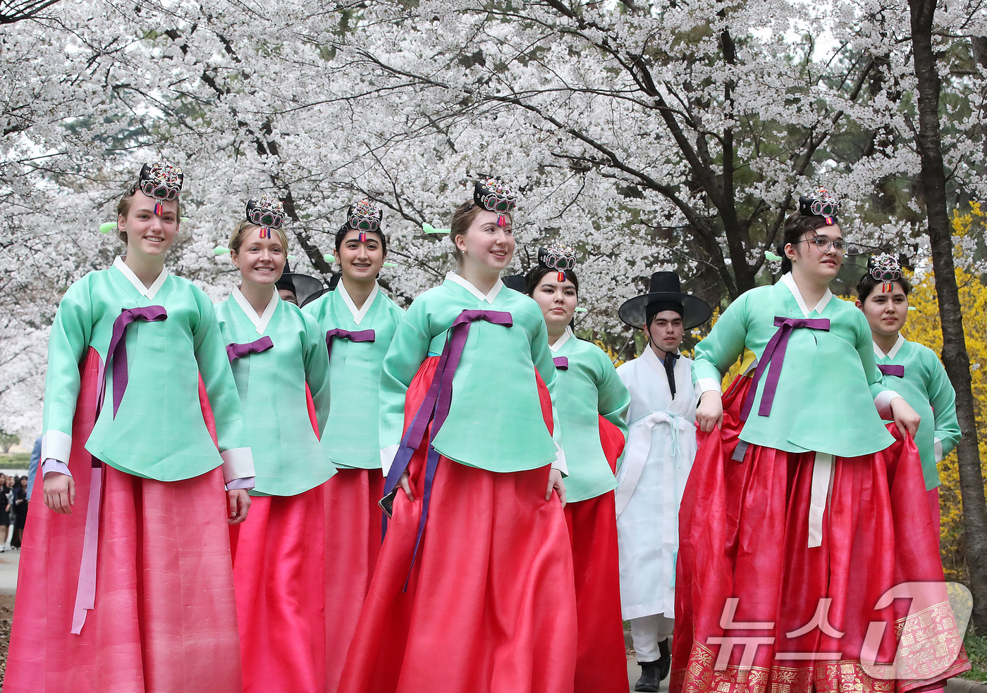 (경산=뉴스1) 공정식 기자 = 1일 오후 영남대 경산캠퍼스를 찾은 미국 고교생들이 한복을 곱게 차려입고 민속촌 벚꽃길을 걷고 있다. 학생들은 열흘간 한국에 머물며 전통 성년식인 …