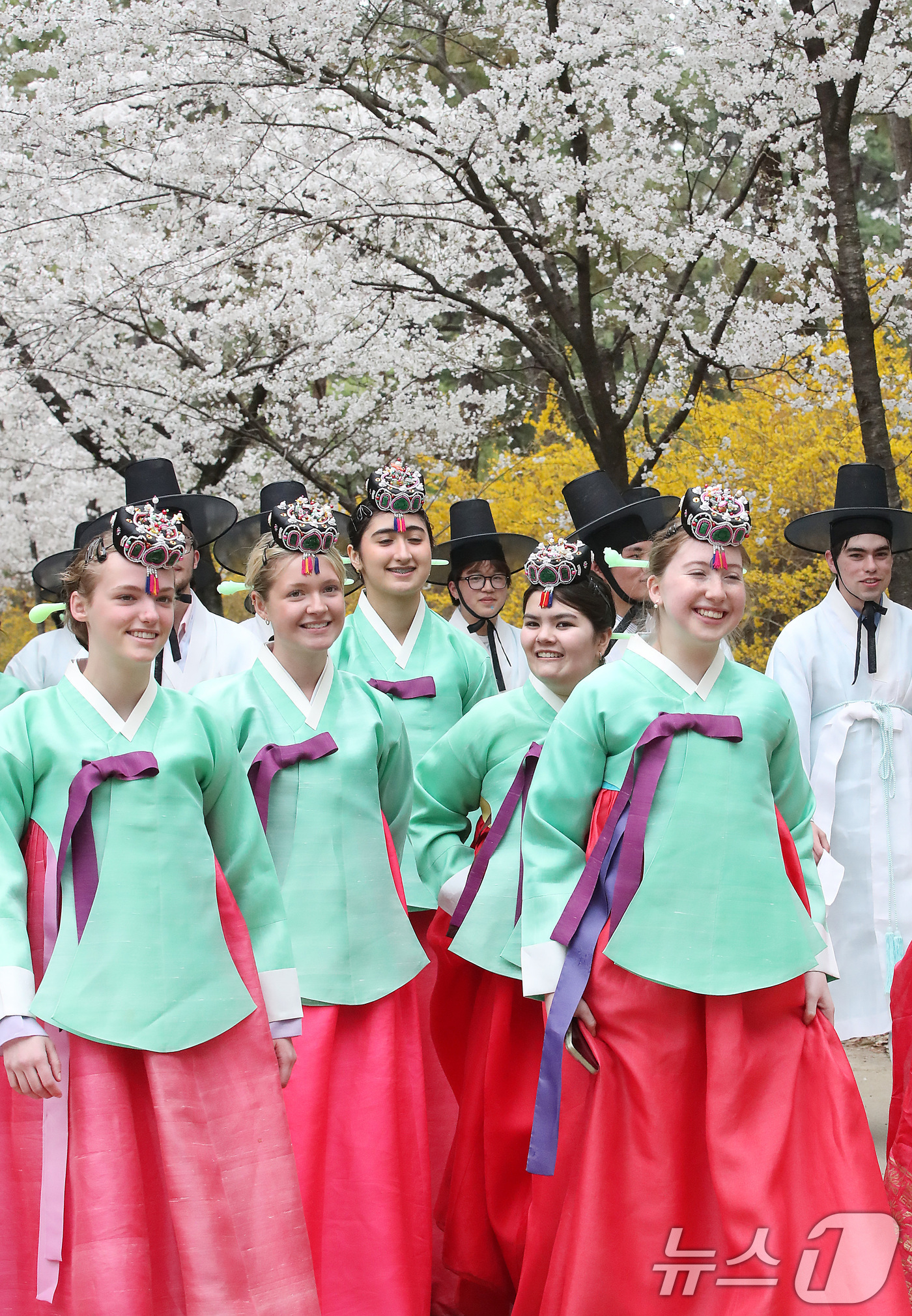 (경산=뉴스1) 공정식 기자 = 1일 오후 영남대 경산캠퍼스를 찾은 미국 고교생들이 한복을 곱게 차려입고 민속촌 벚꽃길을 걷고 있다. 학생들은 열흘간 한국에 머물며 전통 성년식인 …