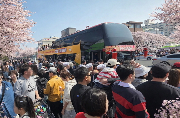 진해군항제 '벚꽃 투어버스' 호응…닷새간 2800여명 이용