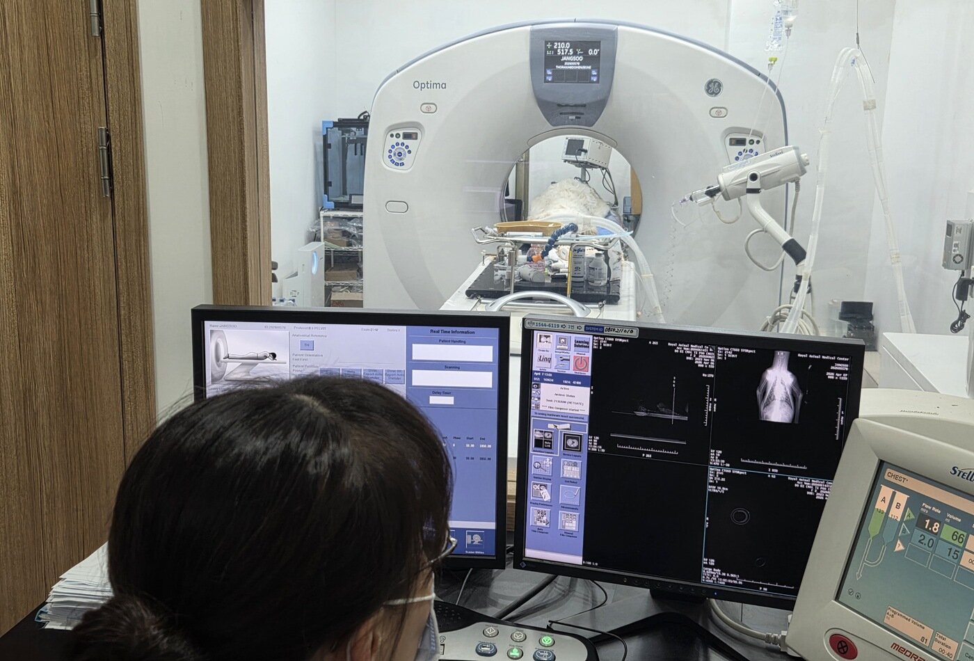 본문 이미지 - 로얄동물메디컬센터에서 장수의 CT(컴퓨터 단층촬영) 검사를 하고 있다. 검사 결과 장수는 골육종으로 암이 폐까지 전이된 것으로 확인됐다. ⓒ 뉴스1 한송아 기자