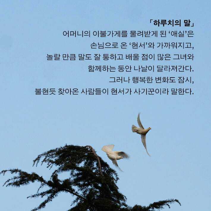 본문 이미지 - [신간] '달걀의 온기'