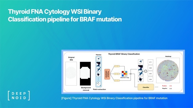 딥노이드, 갑상선 세포검사 AI 연구 성과 공개…솔루션 확장 기대