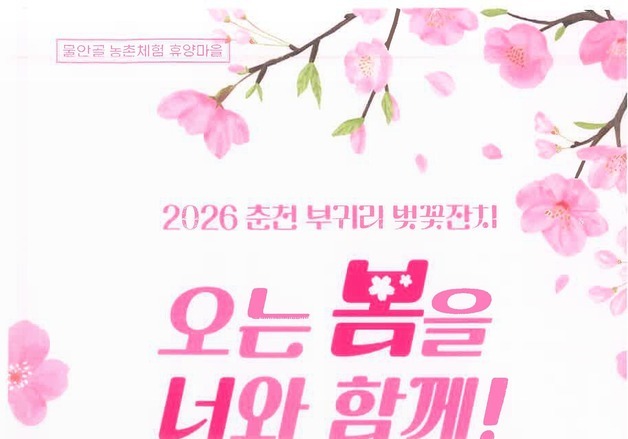 '오는 봄을 너와 함께'…춘천 부귀리 벚꽃잔치 11일부터 9일간