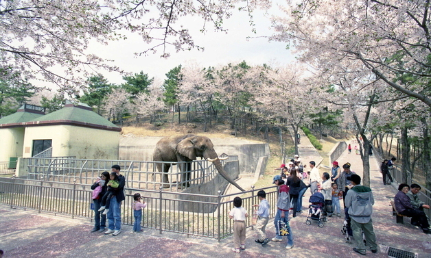 50년 된 '진주 진양호동물원' 2028년 이전 개원