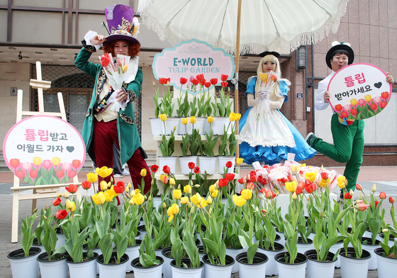 이월드 "튤립 무료로 드려요"