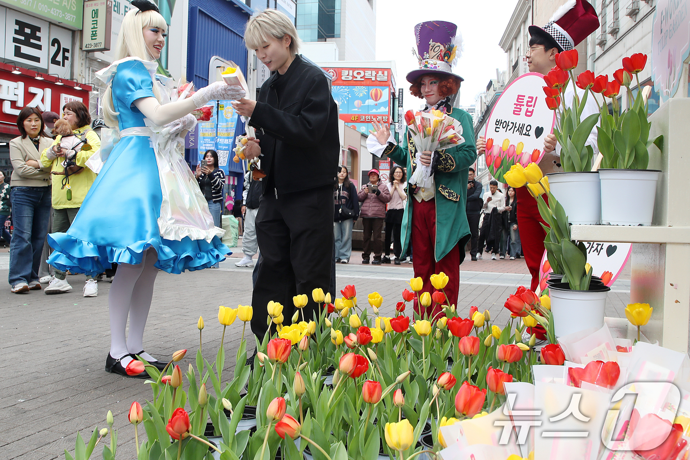 (대구=뉴스1) 공정식 기자 = 10일 오후 대구 중구 동성로 28아트스퀘어에서 테마파크 이월드 관계자들이 시민들에게 튤립을 무료로 나눠주는 '튤립 픽업 이벤트'를 진행하고 있다. …