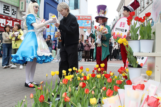 모여라! 대구 이월드 '튤립 트래블'