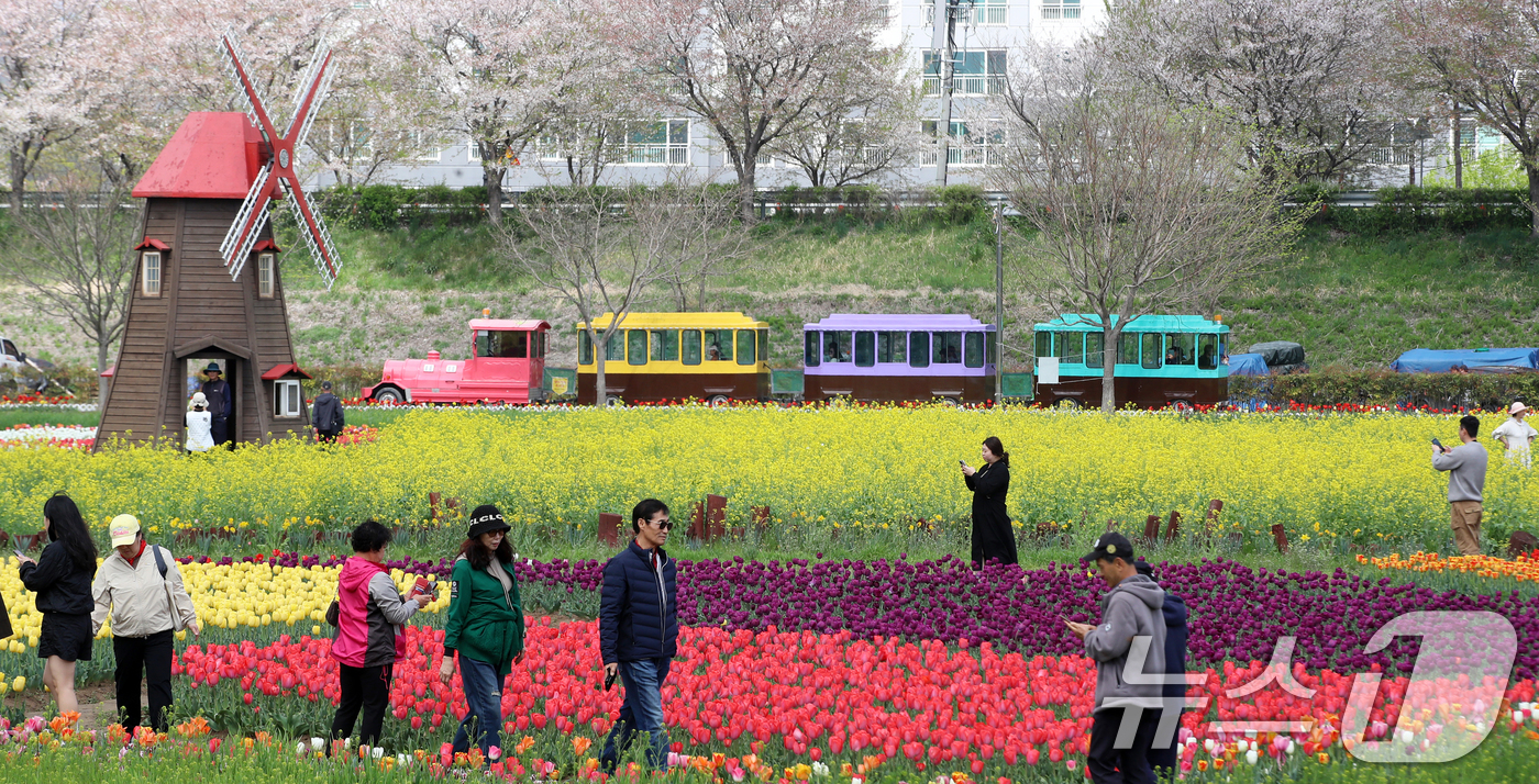 (창녕=뉴스1) 윤일지 기자 = 포근한 봄 날씨를 보인 10일 경남 창녕군 남지읍 창녕낙동강유채단지에서 열린 '제21회 창녕 낙동강유채축제'를 찾은 상춘객이 봄기운을 봄기운을 만끽 …