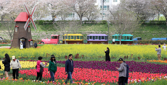제21회 창녕 낙동강유채축제