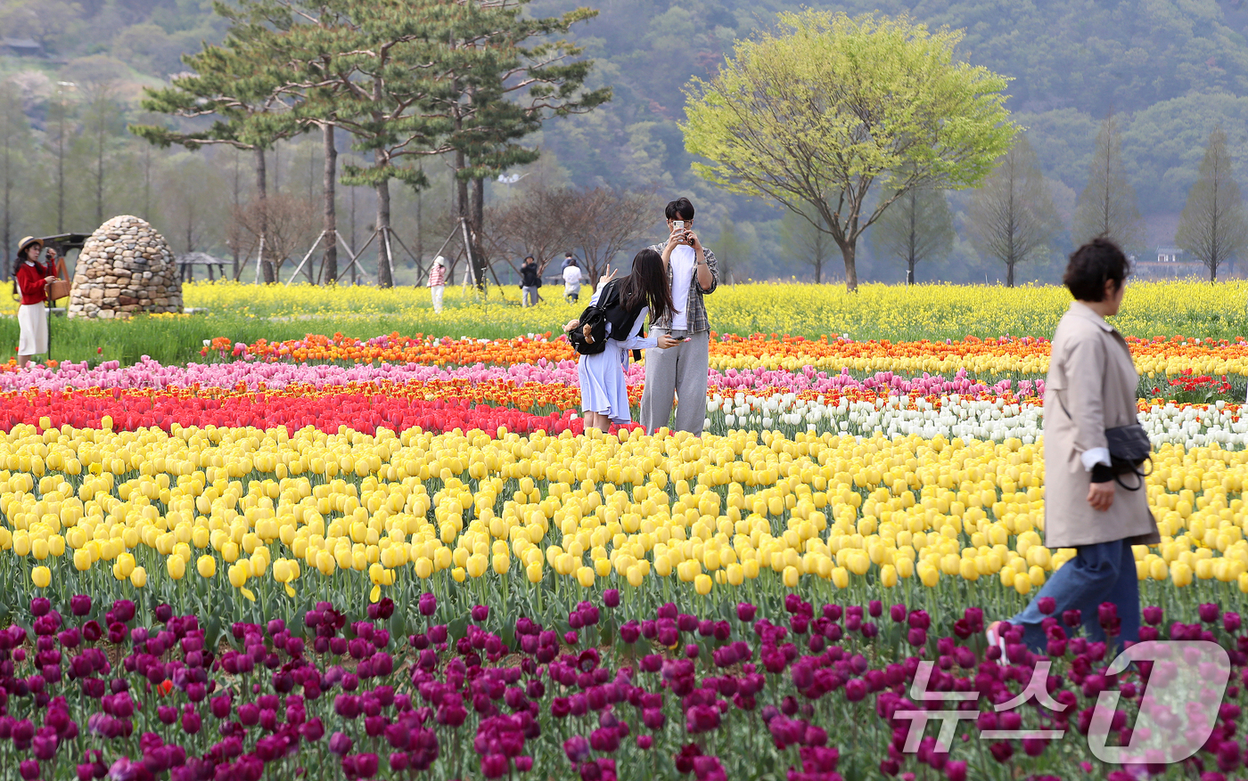 (창녕=뉴스1) 윤일지 기자 = 포근한 봄 날씨를 보인 10일 경남 창녕군 남지읍 창녕낙동강유채단지에서 열린 '제21회 창녕 낙동강유채축제'를 찾은 상춘객이 봄기운을 봄기운을 만끽 …