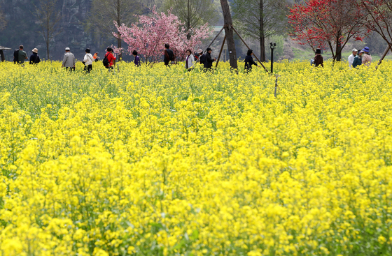 봄 만끽하는 상춘객