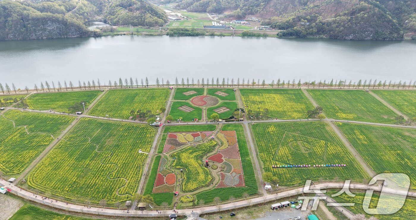 본문 이미지 - 포근한 봄 날씨를 보인 10일 경남 창녕군 남지읍 창녕낙동강유채단지에서 열린 '제21회 창녕 낙동강유채축제'를 찾은 상춘객이 봄기운을 봄기운을 만끽하고 있다. 제21회 창녕 낙동강유채축제는 오는 12일까지 진행된다. 2026.4.10 ⓒ 뉴스1 윤일지 기자
