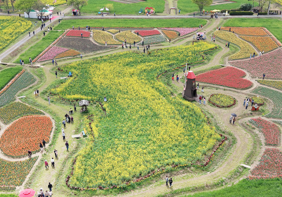 제21회 창녕 낙동강유채축제