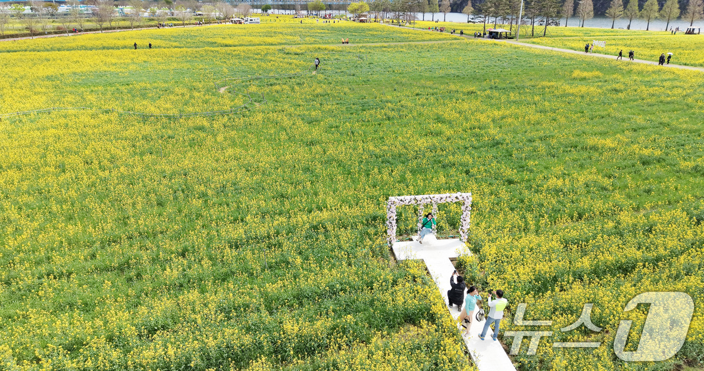 (창녕=뉴스1) 윤일지 기자 = 포근한 봄 날씨를 보인 10일 경남 창녕군 남지읍 창녕낙동강유채단지에서 열린 '제21회 창녕 낙동강유채축제'를 찾은 상춘객이 봄기운을 봄기운을 만끽 …