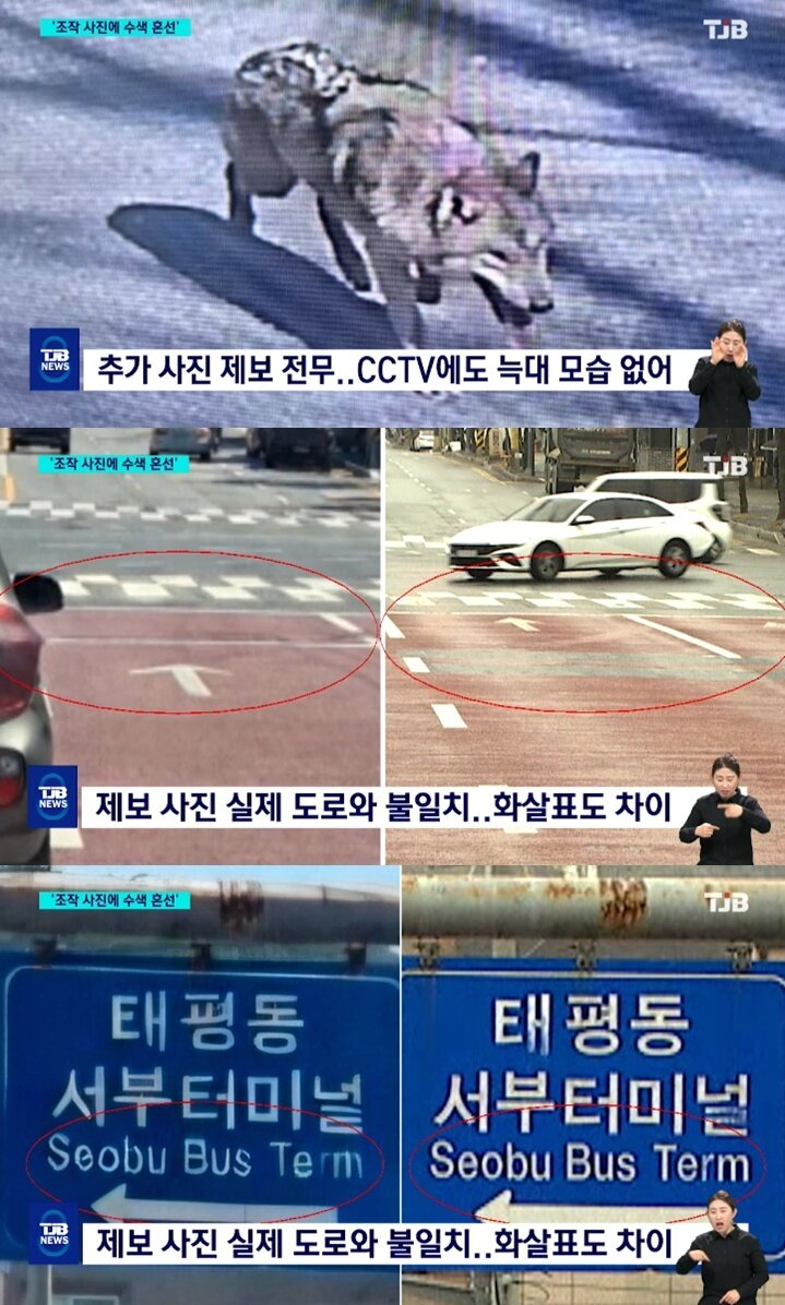 본문 이미지 - (TJS 갈무리)