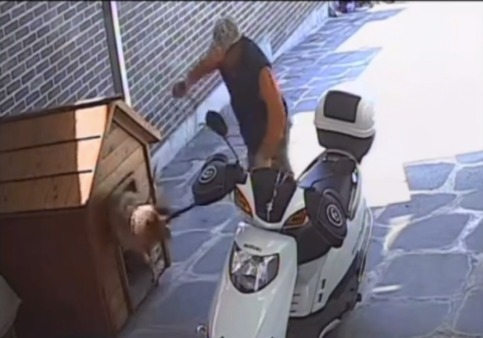 이 집 개가 아닌데…엉뚱한 집 반려견 올무로 잡아간 개장수