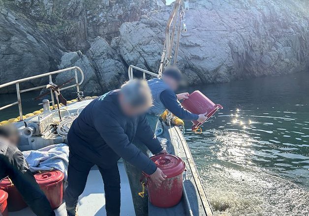 잠수장비로 해삼 300㎏ '싹쓸이'…군산해경, 일당 4명 적발