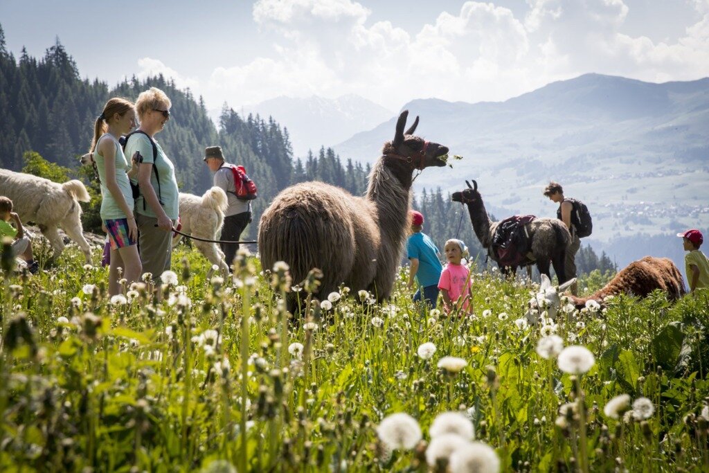 본문 이미지 - 소박한 전원여행을 느낄 수 있는 수르셀바(스위스관광청 제공)