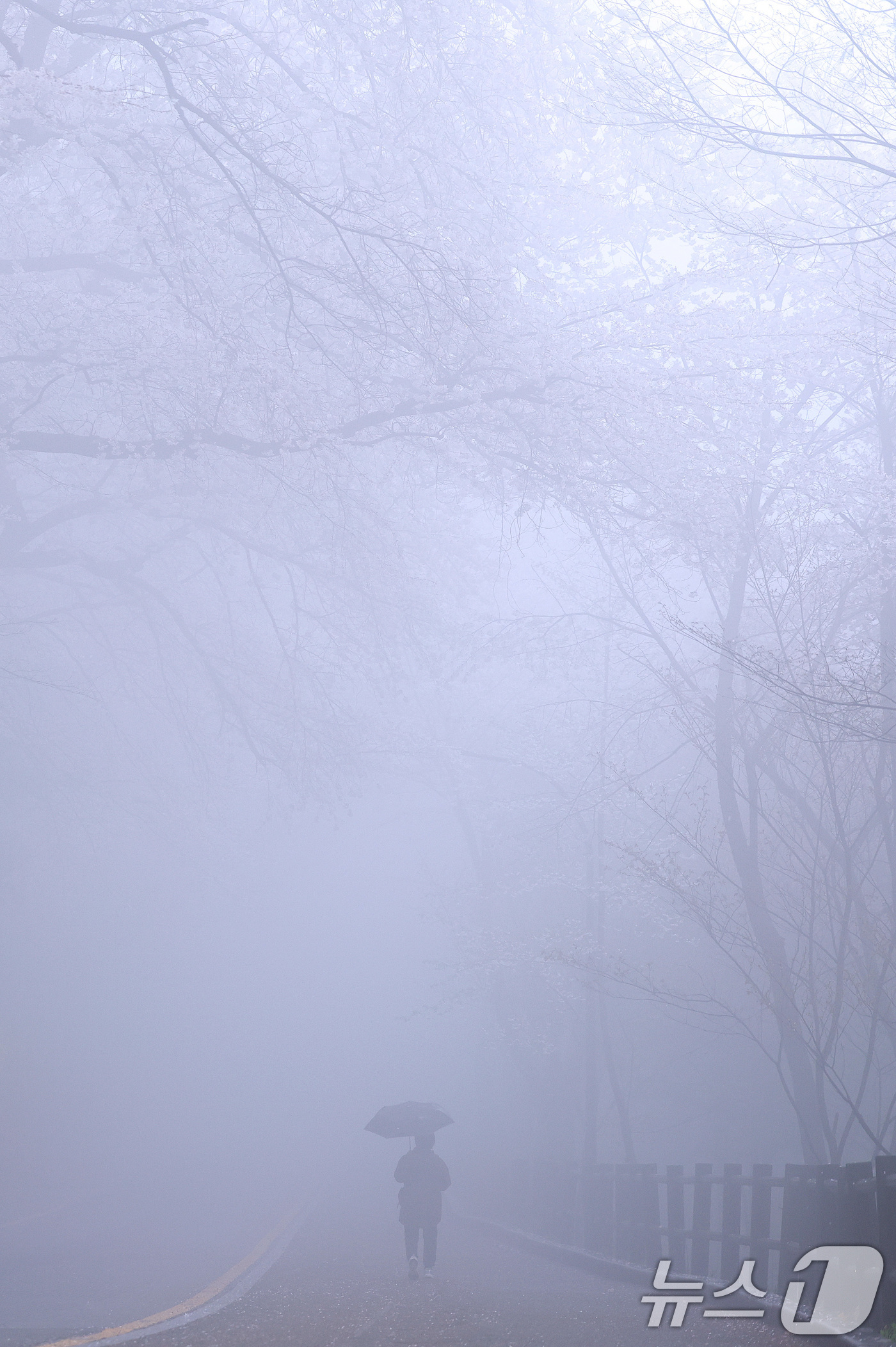 (서울=뉴스1) 구윤성 기자 = 10일 오후 서울 남산에서 시민들이 안개 낀 산책로를 걷고 있다.  2026.4.10/뉴스1