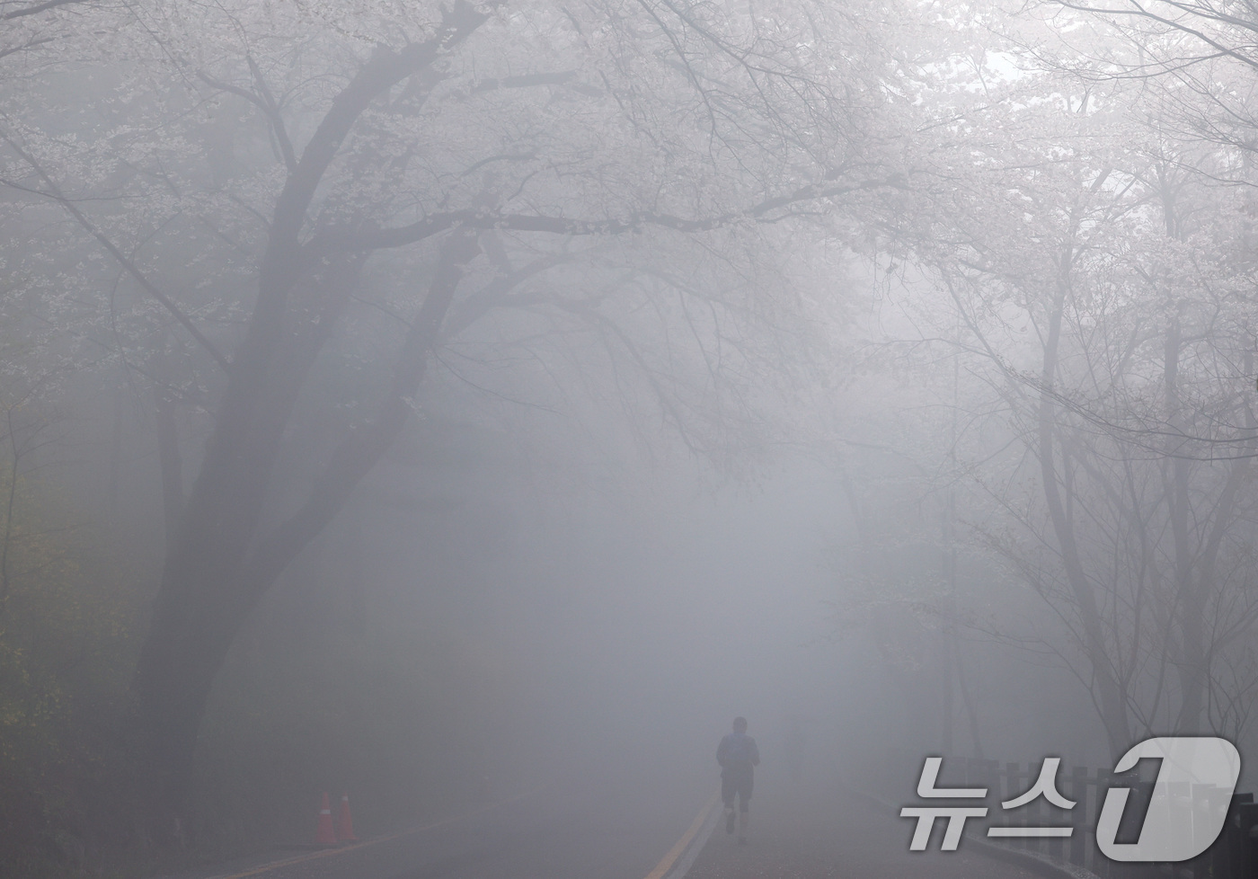 (서울=뉴스1) 구윤성 기자 = 10일 오후 서울 남산에서 한 시민이 안개 낀 산책로를 달리고 있다.  2026.4.10/뉴스1