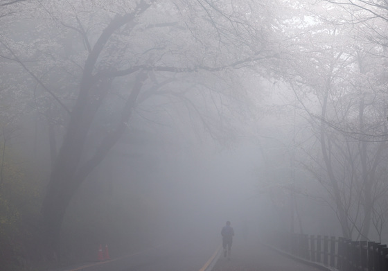 봄안개