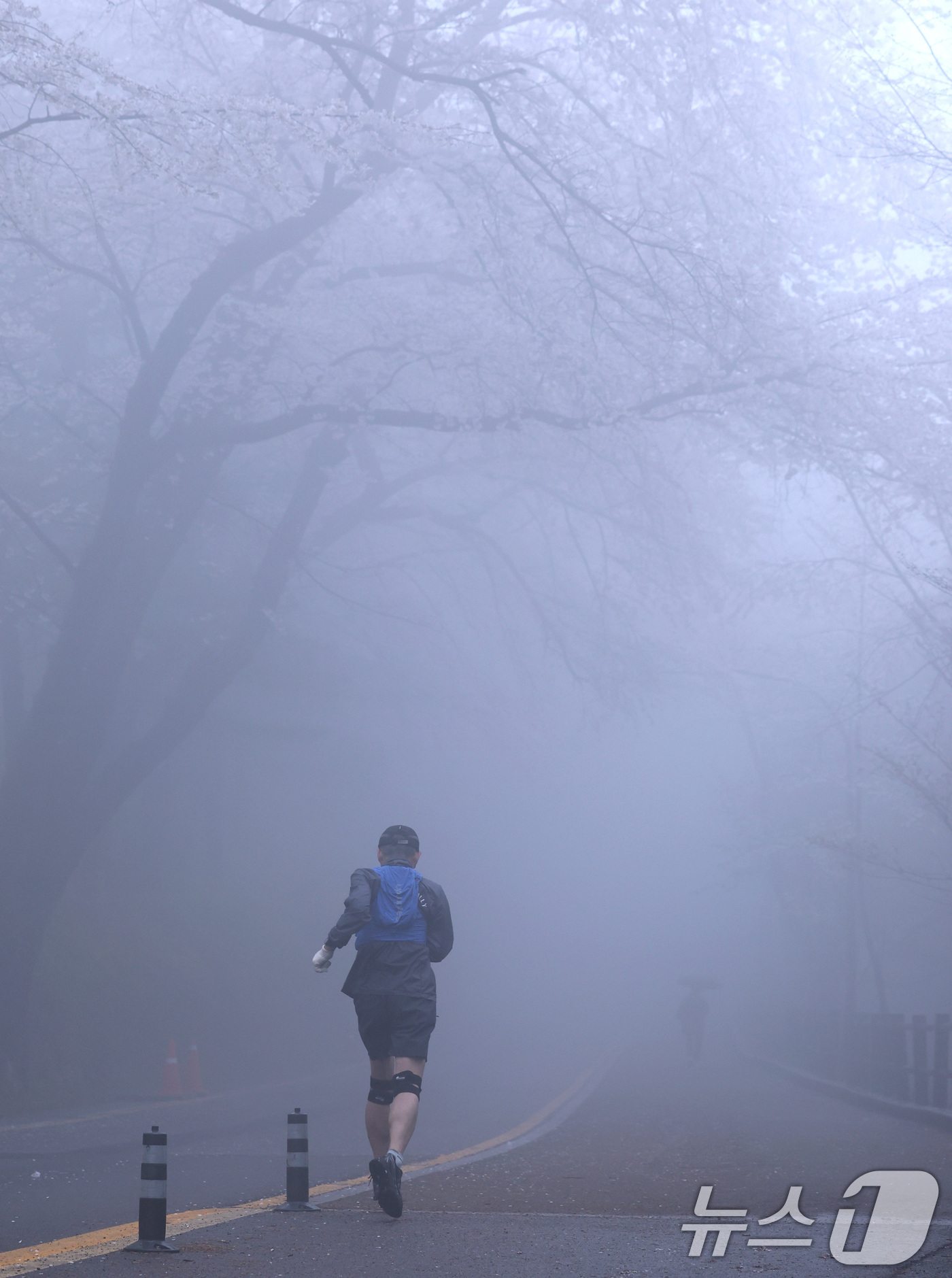 (서울=뉴스1) 구윤성 기자 = 10일 오후 서울 남산에서 한 시민이 안개 낀 산책로를 달리고 있다.  2026.4.10/뉴스1