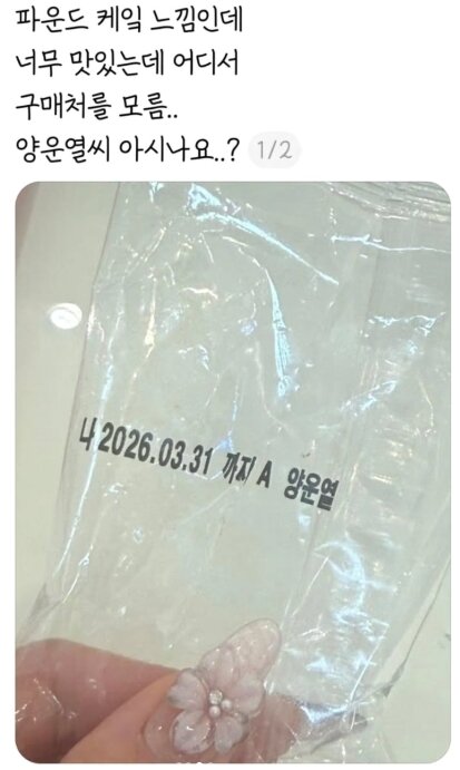 본문 이미지 - 인스타그램