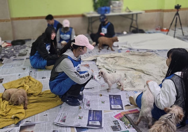 '블루엔젤' 고원희·김소라·안혜경…고양이쉼터·보호견 입양 홍보