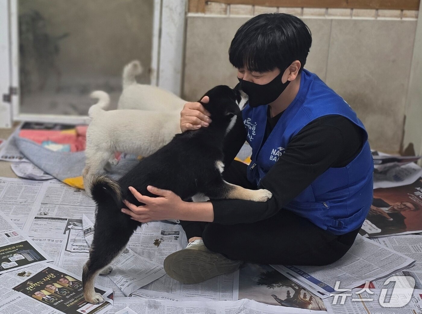 본문 이미지 - 동물보호소 봉사활동을 하고 있는 블루엔젤(내추럴발란스 제공) ⓒ 뉴스1