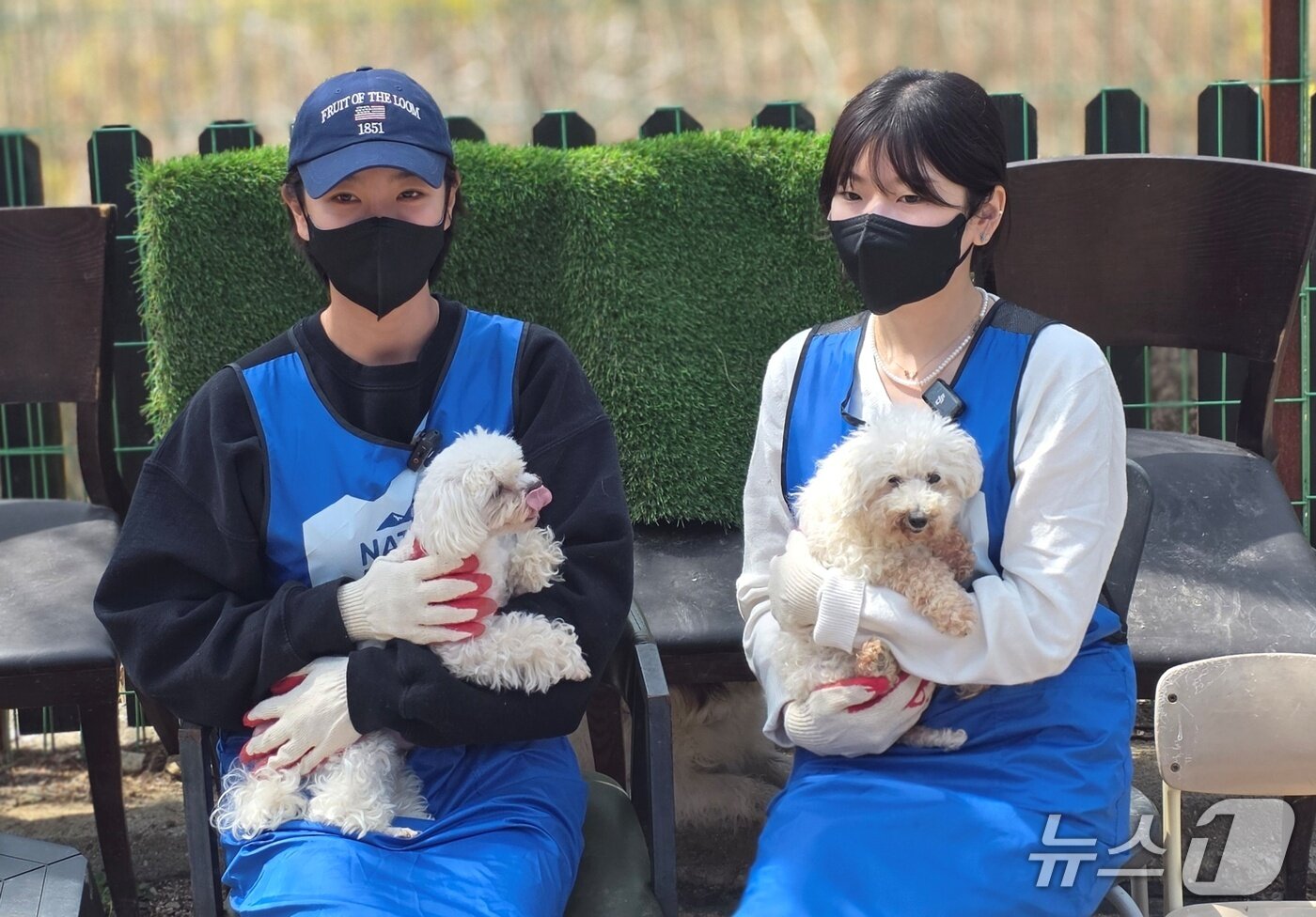 본문 이미지 - 동물보호소 봉사활동을 하고 있는 블루엔젤(내추럴발란스 제공) ⓒ 뉴스1