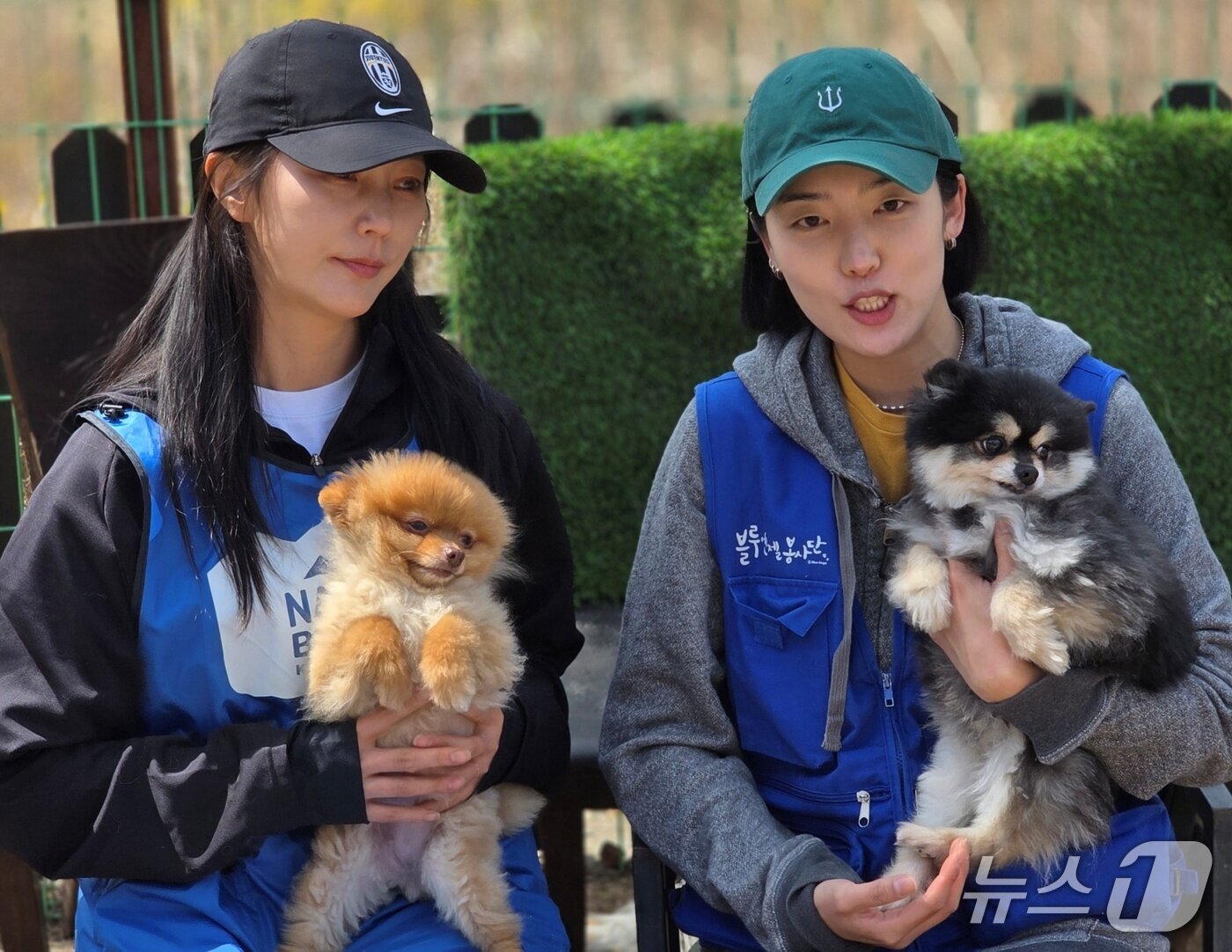 본문 이미지 - 동물보호소 봉사활동을 하고 있는 블루엔젤(내추럴발란스 제공) ⓒ 뉴스1