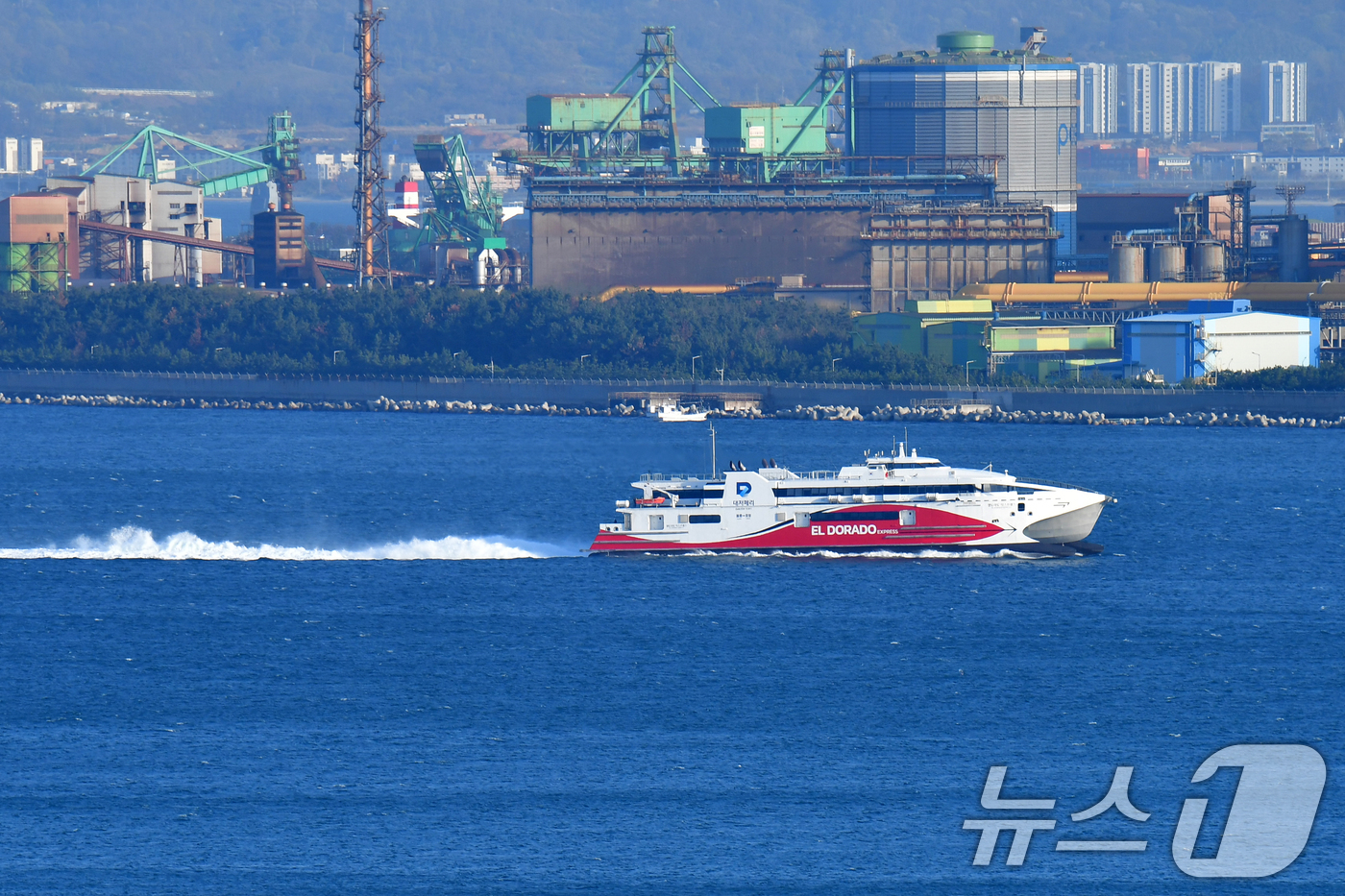 (포항=뉴스1) 최창호 기자 = 10일 오후 경북 울릉군에서 출항한 포항~울릉 정기여객선인 대저페리의 엘도라도 익스프레스호가 포항여객선터미널로 들어오고 있다.이 배는 지난해 기관 …
