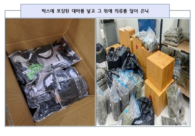 '127만명분 대마 밀수' 재일교포 출신 50대 야쿠자 구속기소