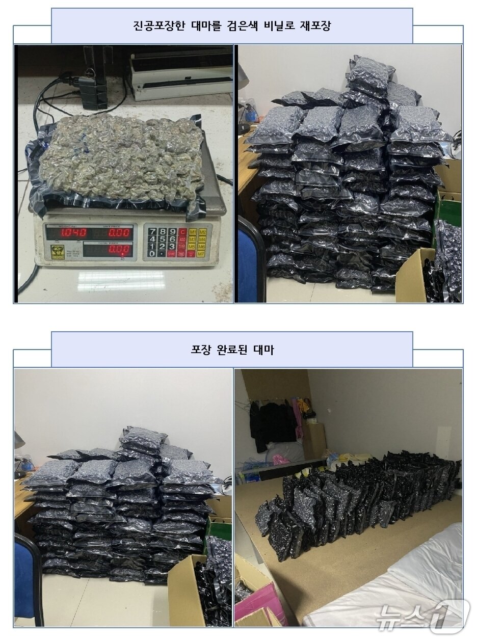 본문 이미지 - (마약합수본 제공. 재판매 및 DB금지)