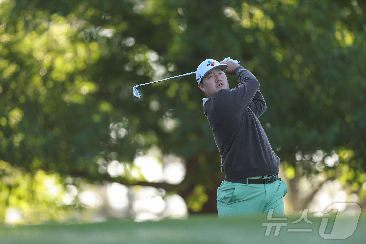 본문 이미지 - PGA 투어 임성재.  ⓒ AFP=뉴스1