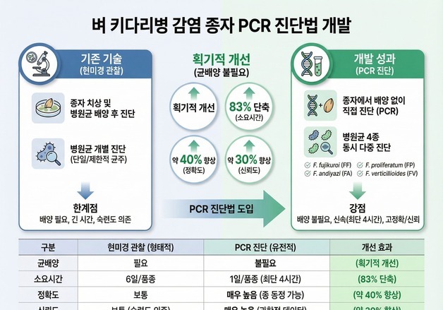 국립종자원, 벼 키다리병 감염 종자 신속 진단법 개발…특허 출원