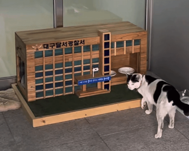 본문 이미지 - 대구달서경찰서에 설치된 길고양이 급식소(대구고양이보호연대 제공) ⓒ 뉴스1