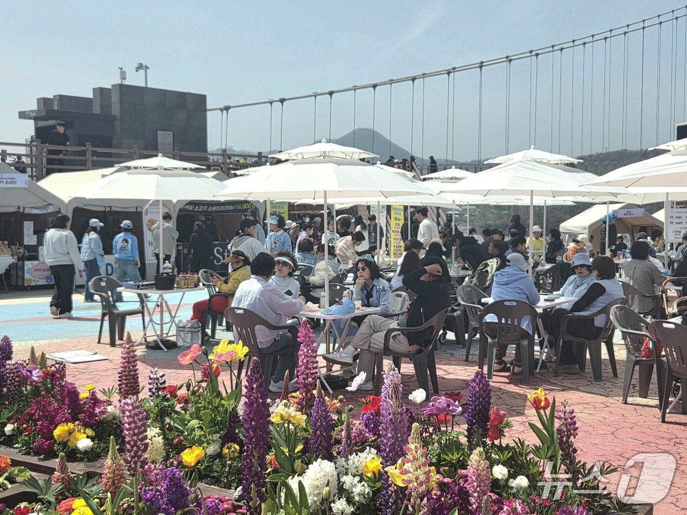 본문 이미지 - 11일 오전 11시께 전북 임실군 옥정호 출렁다리 앞 축제장에서 나들이객들이 쉬고 있다.2026.4.11/뉴스1 문채연 기자