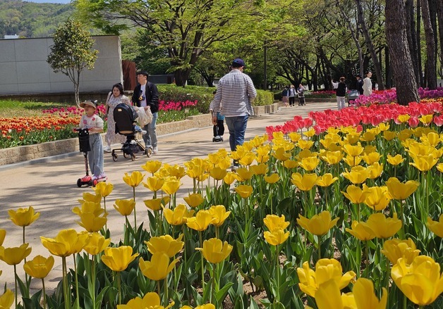 '튤립 활짝' 김해 연지공원 봄 햇살 속 나들이 발길 이어져