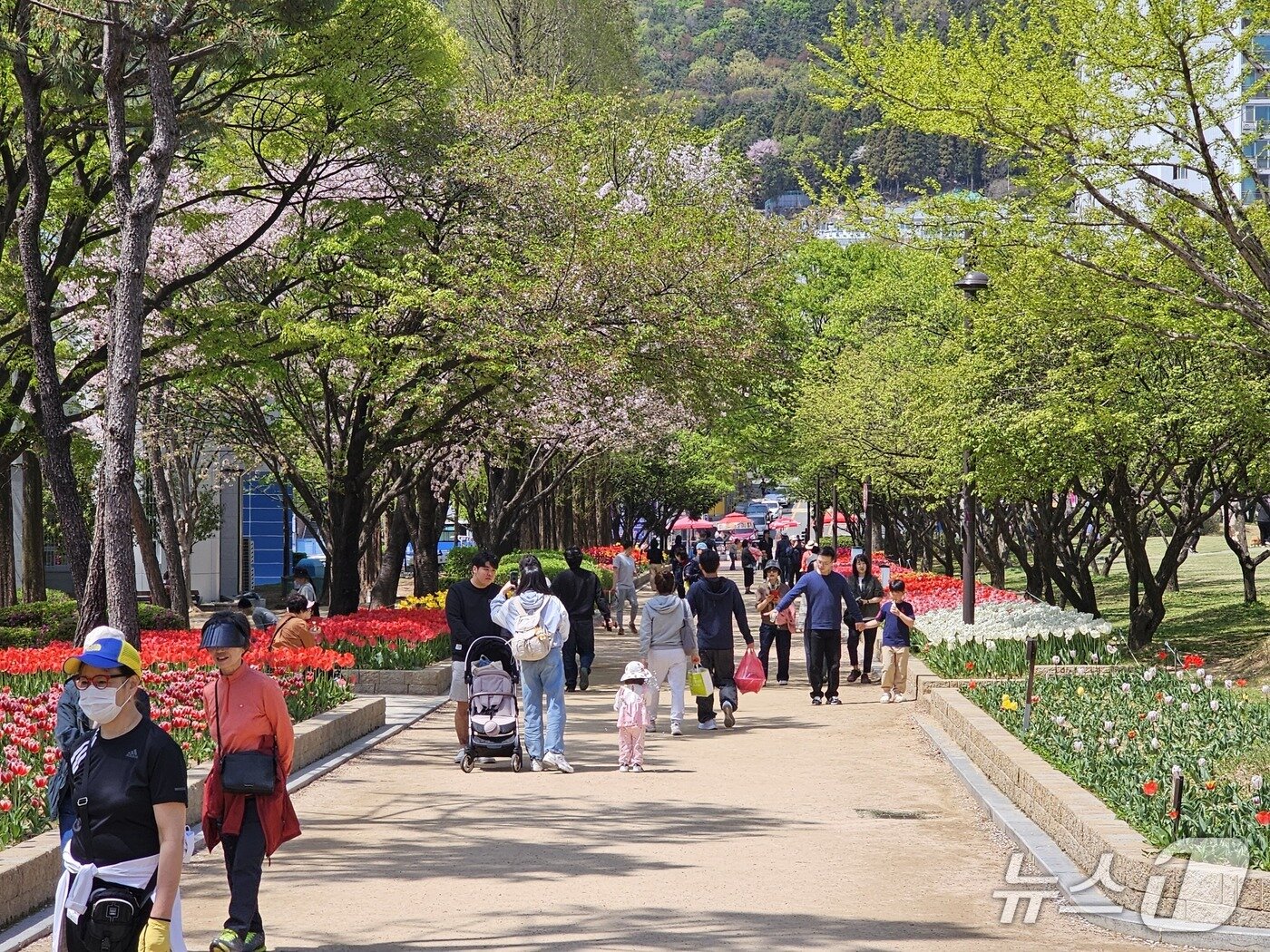 본문 이미지 - 11일 오후 김해 연지공원을 찾은 시민들이 산책하고 있다. 2026.4.11 ⓒ 뉴스1 박민석 기자