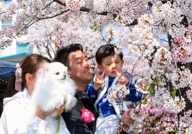 '봄봄봄, 인제로 봄!'…주민이 만든 인제 골목문화제