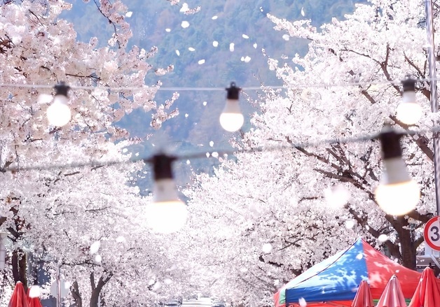 '봄봄봄, 인제로 봄!'…주민이 만든 인제 골목문화제