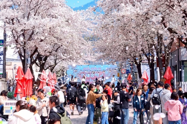 '봄봄봄, 인제로 봄!'…주민이 만든 인제 골목문화제