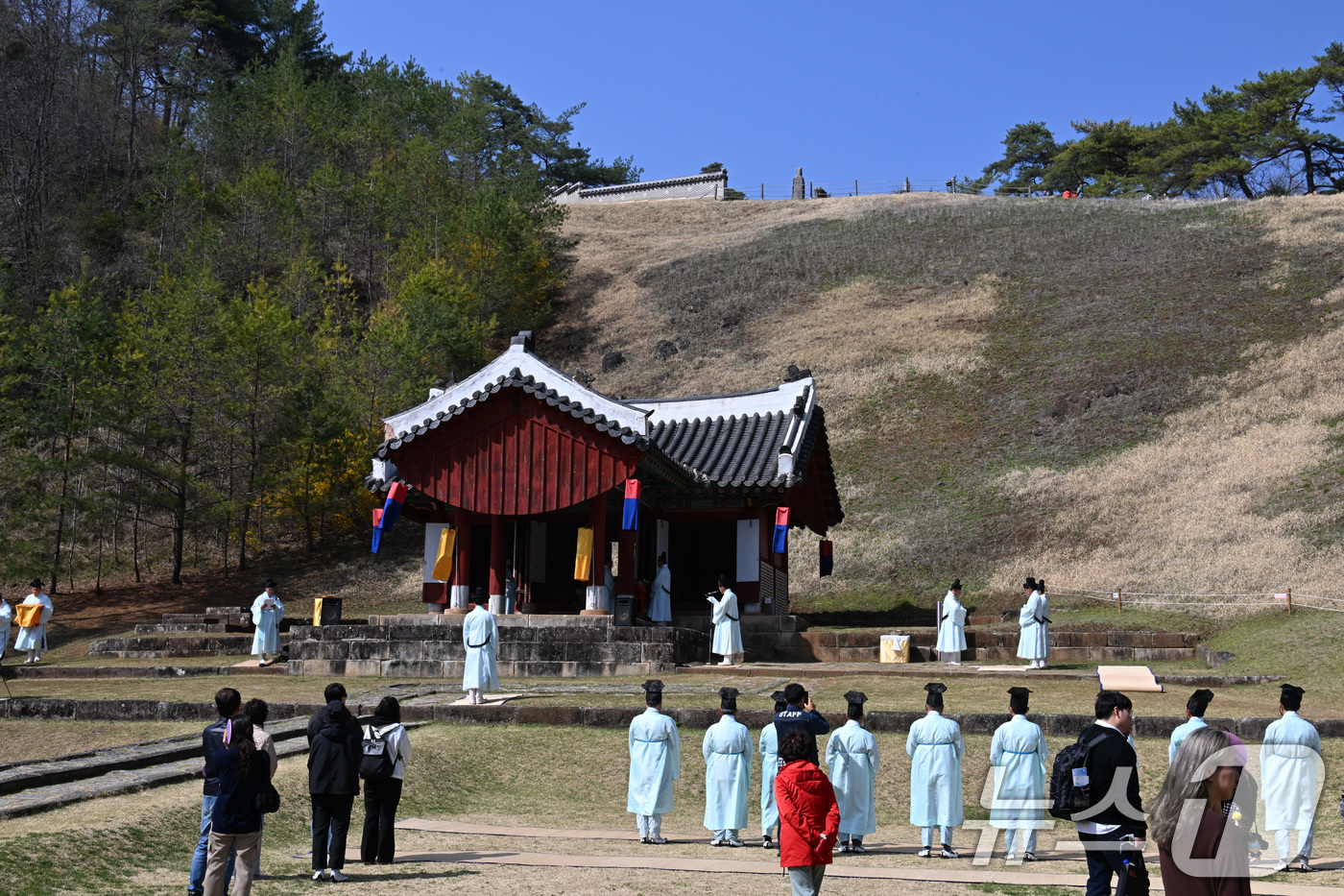 (서울=뉴스1) = 11일 강원도 영월 조선 단종의 능인 장릉에서 남양주 사릉에서 채취해 온 들꽃을 옮겨 심는 식재 행사를 기념하는 고유제가 진행되고 있다. 남양주 사릉은 단종의 …