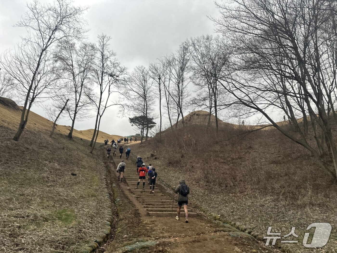 본문 이미지 - 동촌리가야고분군 일대를 오르는 트레일러너들 /뉴스1 이상휼 기자