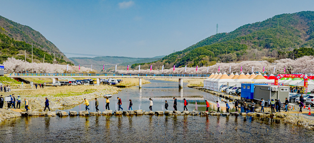 보령 주산벚꽃축제 개막