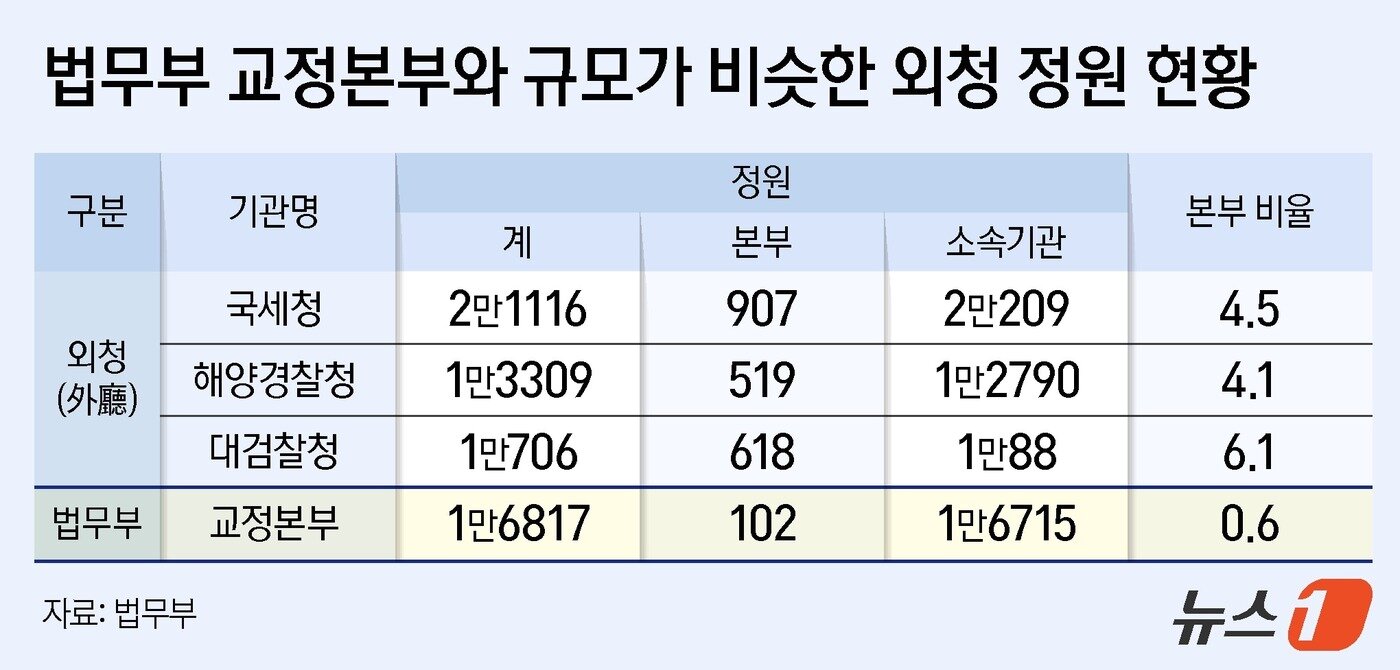 본문 이미지 - ⓒ 뉴스1 양혜림 디자이너