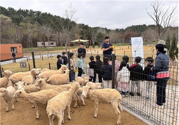 부산시, 숲에서 배우고 쉰다…50여 곳서 무료 산림교육 프로그램